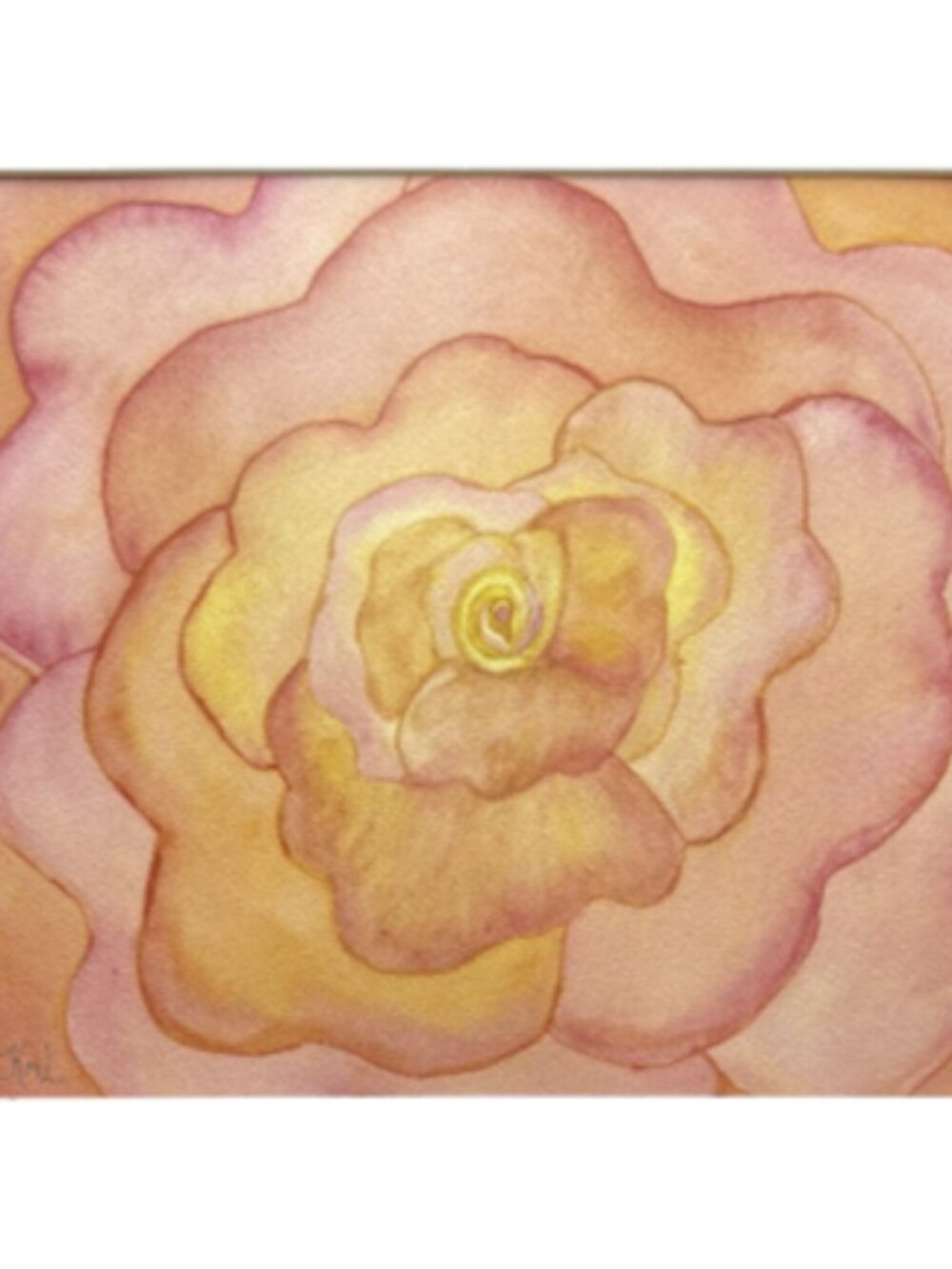 Painting Watercolor Flower Rose Coral Orange Pink 11x14 & Mat 16x20 Original Art